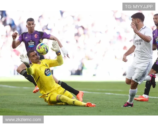 巴拉多利德足球俱乐部的辉煌历程与未来展望 巴拉多利德足球俱乐部的辉煌历程与未来展望