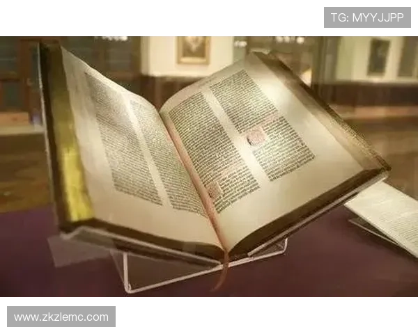 美因茨05足球俱乐部发展历程与未来前景分析